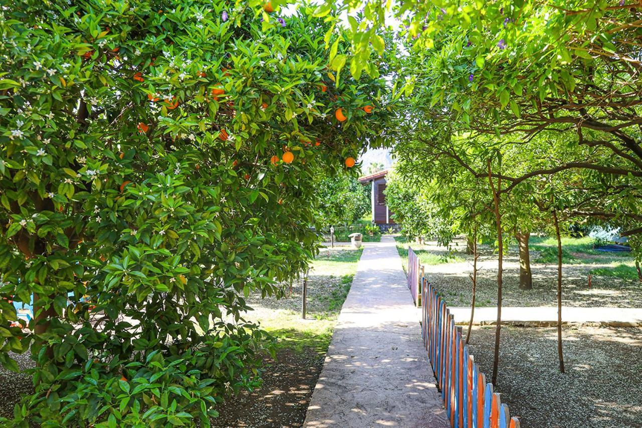 Three Islands Bungalow ชิลารึ ภายนอก รูปภาพ